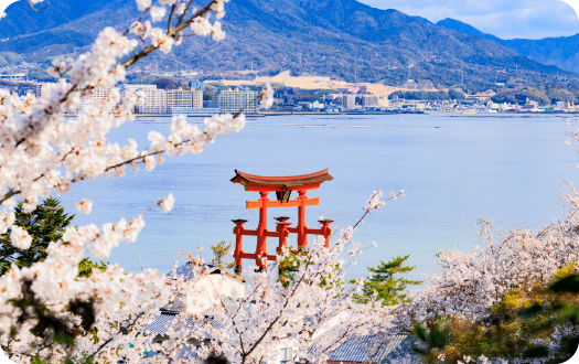 地方政府・DMO